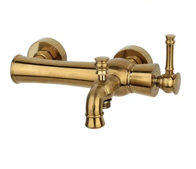 شیر حمام الیزه